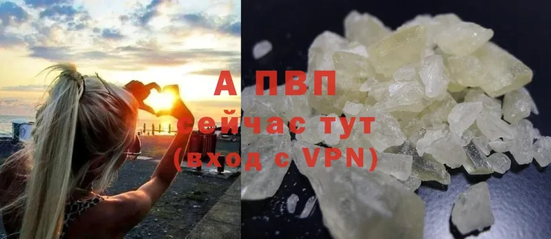 A PVP СК КРИС  Кириши 